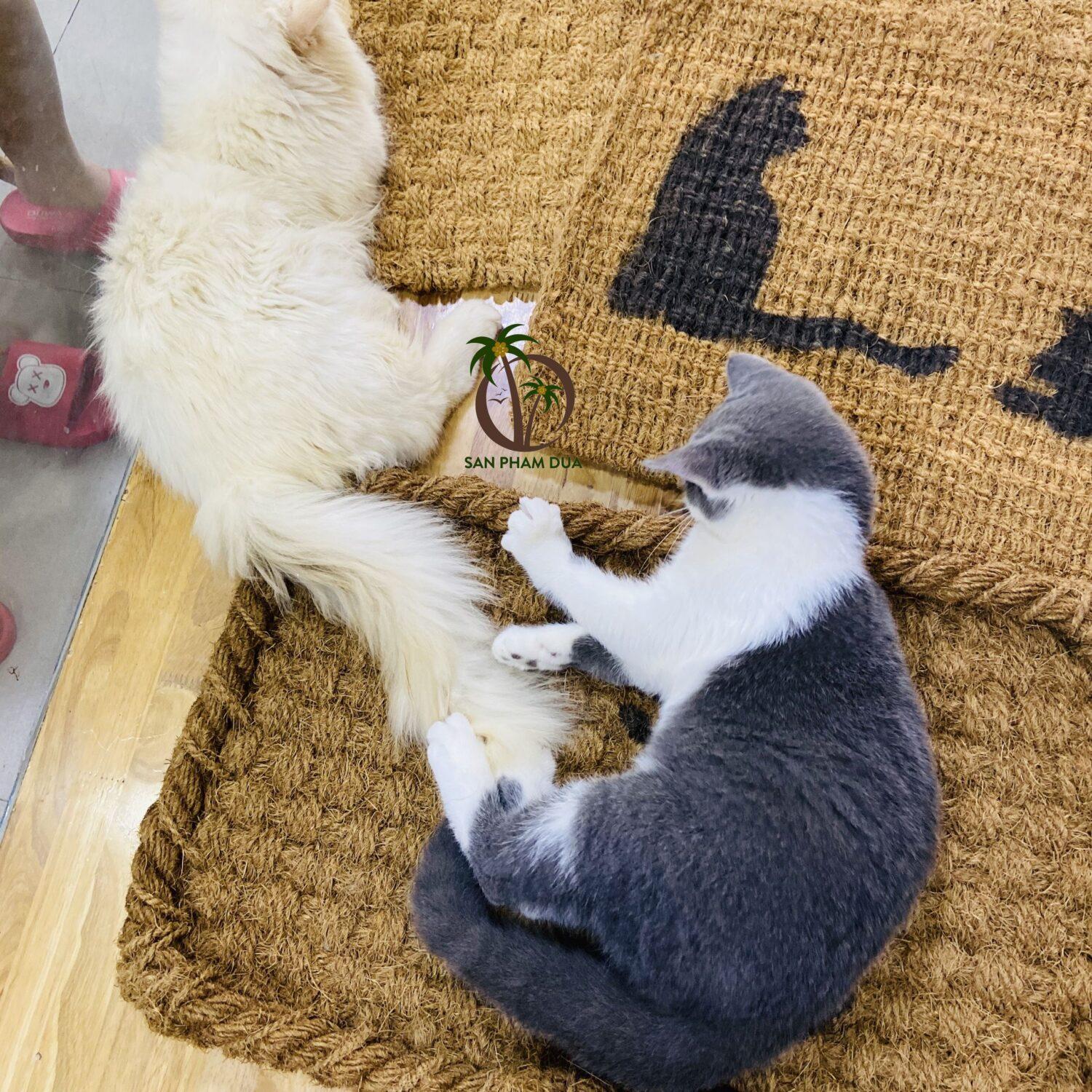 COCONUT CAT SCRATCHING MAT Coconut Product