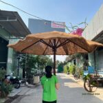 COCONUT PARASOL