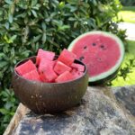 COCONUT SHELL BOWL