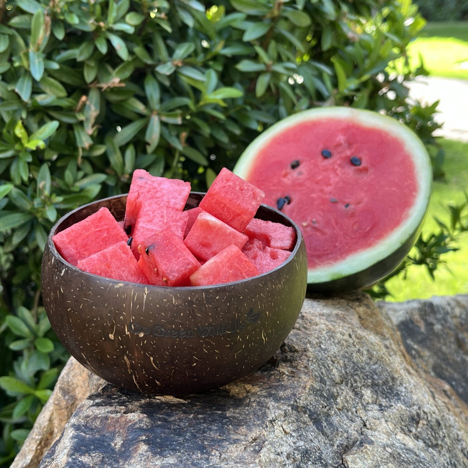 COCONUT SHELL BOWL