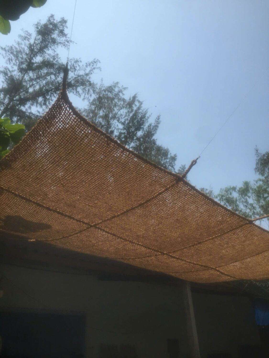 COCONUT SUNSHADE SAIL